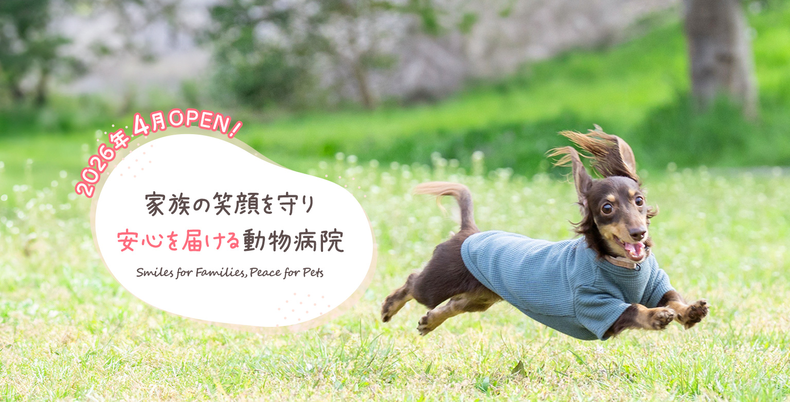 市原市ちはら台の動物病院なぎアニマルホスピタル